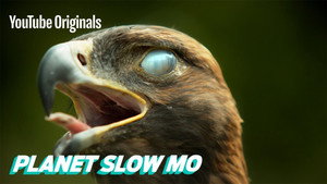 Planet Slow Mo 1. évad Ep.9 9. epizód