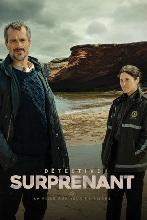 Détective Surprenant poszter