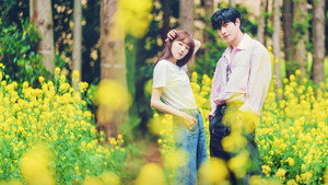 별똥별 kép