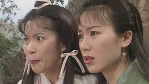 神鵰俠侶 (數碼修復版) 1. évad Ep.25 25. epizód
