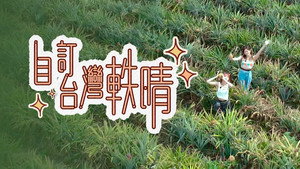 自訂台灣軼晴 kép