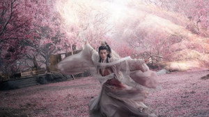 水龙吟 kép