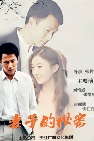 妻子的秘密 poszter
