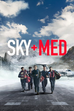 SkyMed poszter