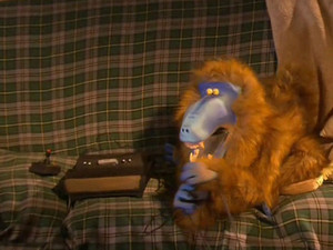 Mr. Meaty 1. évad Ep.19 19. epizód