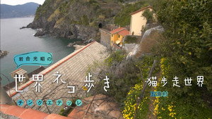 岩合光昭の世界ネコ歩き 1. évad Ep.51 51. epizód