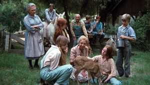 The Waltons 2. évad Ep.9 9. epizód
