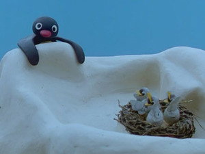 Pingu 3. évad Ep.8 Pingu és a madármama