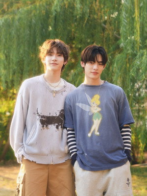 ด้วงกับเธอ poszter