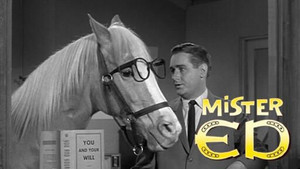 Mister Ed kép