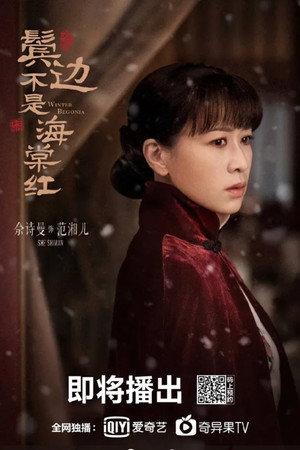 鬓边不是海棠红 poszter