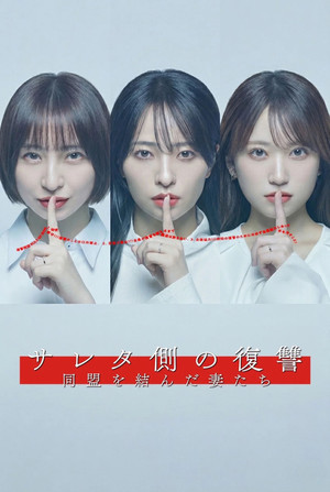 サレタ側の復讐 同盟を結んだ妻たち poszter