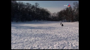 Државни посао 6. évad Ep.88 88. epizód