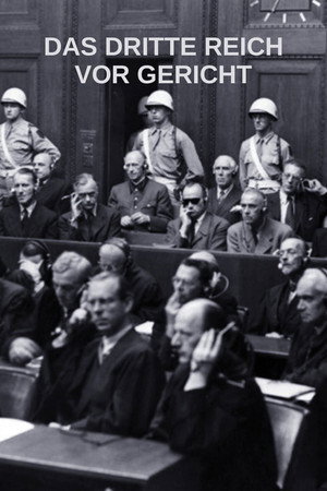 Das Dritte Reich vor Gericht