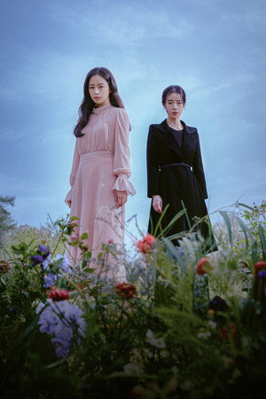 마당이 있는 집 poszter