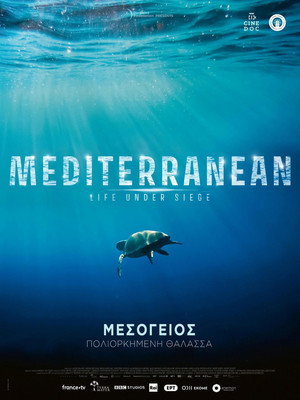 Átalakulóban a mediterrán élővilág poszter
