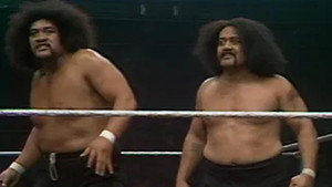 WWF All-Star Wrestling 6. évad Ep.8 8. epizód