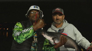 Fish Kings Show kép