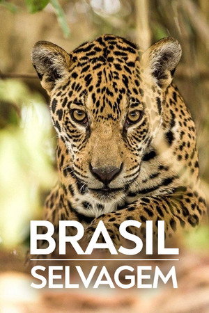 Szelidítetlen Brazília 2. évad (2019-07-27) poszter