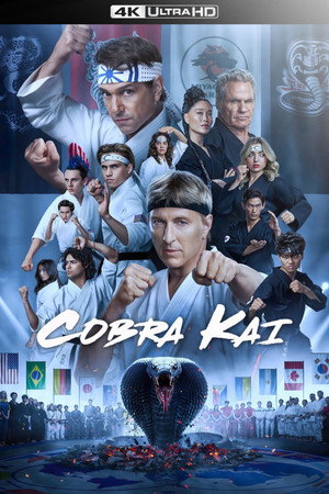 Cobra Kai poszter
