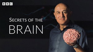 Secrets of the Brain kép