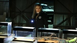 CSI: A helyszínelők 15. évad Ep.17 A böröm alatt