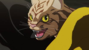 ニャイト・オブ・ザ・リビングキャット 1. évad Ep.1 1. epizód