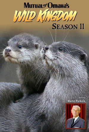 Mutual of Omaha's Wild Kingdom 11. évad (1972-09-17) poszter