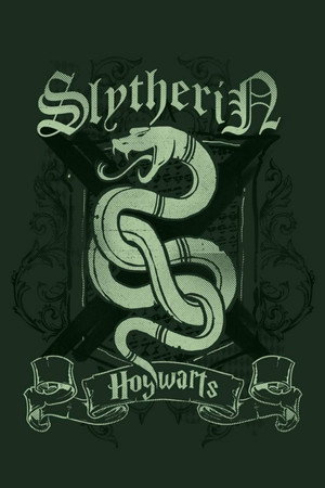 Harry Potter poszter