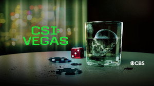 CSI: Las Vegas-i helyszínelők kép