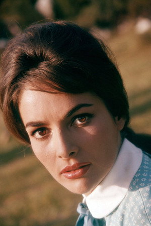 Karin Dor profil kép
