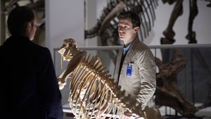 Hannibal 2. évad Ep.9 Shiizakana