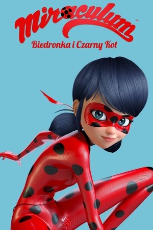 Miraculous Katicabogár és Fekete Macska kalandjai poszter
