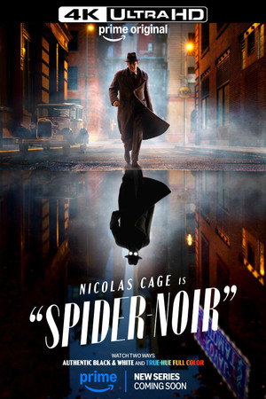 A Pók: Noir poszter