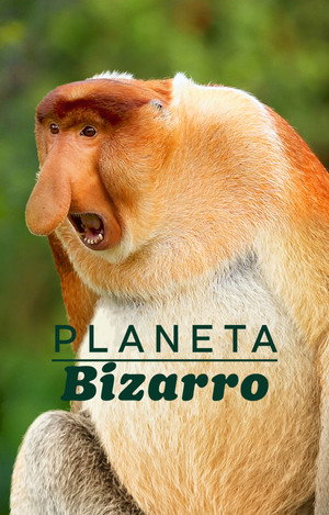 Bizarr teremtmények poszter