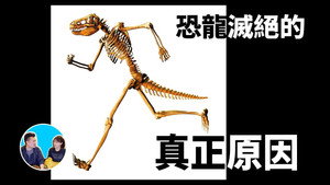 老高与小茉 Speciális epizódok Ep.157 157. epizód