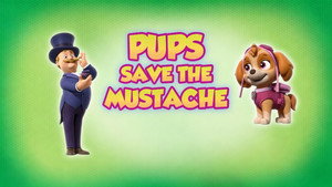 PAW Patrol 8. évad Ep.5 5. epizód