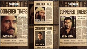 Cornered Tigers: The 1992 Story kép