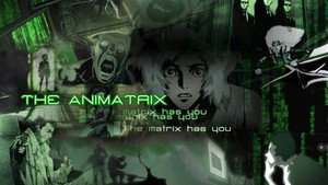 The Animatrix kép