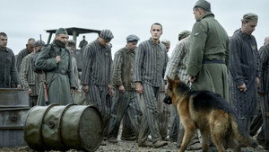 Az auschwitzi tetováló igaz története kép