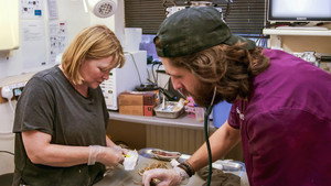 Joanna Page's Wild Life 1. évad Ep.6 6. epizód