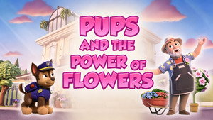 PAW Patrol 11. évad Ep.20 20. epizód