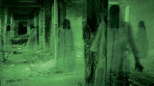 Paranormal Caught on Camera kép