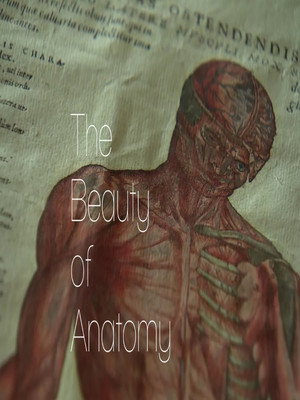 The Beauty of Anatomy 1. évad (2014-08-13) poszter