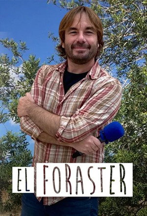El foraster poszter