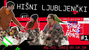 Osvežilna fronta 8. évad Ep.1 1. epizód