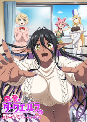ちょっとだけ愛が重いダークエルフが異世界から追いかけてきた poszter