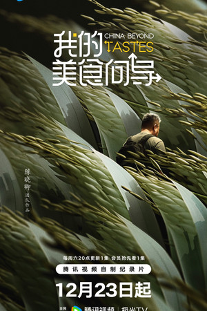 我的美食向导 poszter
