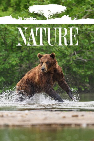 Nature poszter