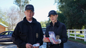 NCIS: Tengerészeti helyszínelők 17. évad Ep.17 Dióhéjban